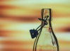Bouteilles en verre parfaites pour l'alcool : Guide des bouteilles en verre