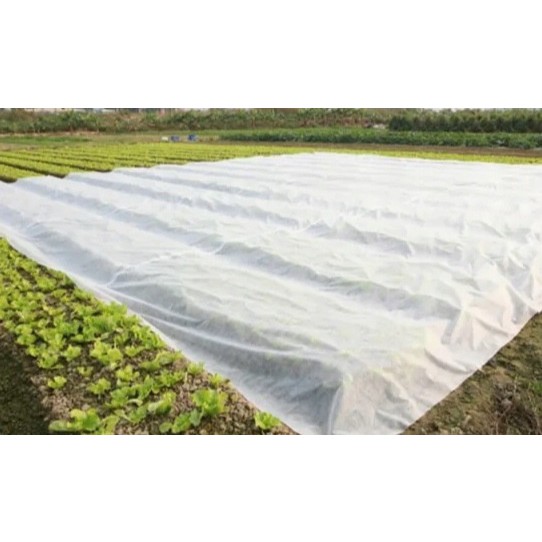 agrotextile blanc tissu en biomasse 1,6x100m épais 70g/m2 megamix.sk
