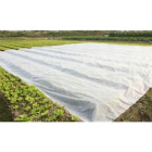 Agrofibre tissu blanc en biomasse 1,6x100m épaisseur 70g/m2