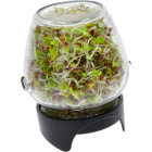 Tasse de germination pour la germination 2 pièces