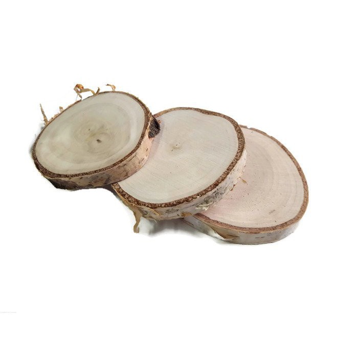 Tranche de bois de bouleau poncée 6-8cm 1cm megamix.sk