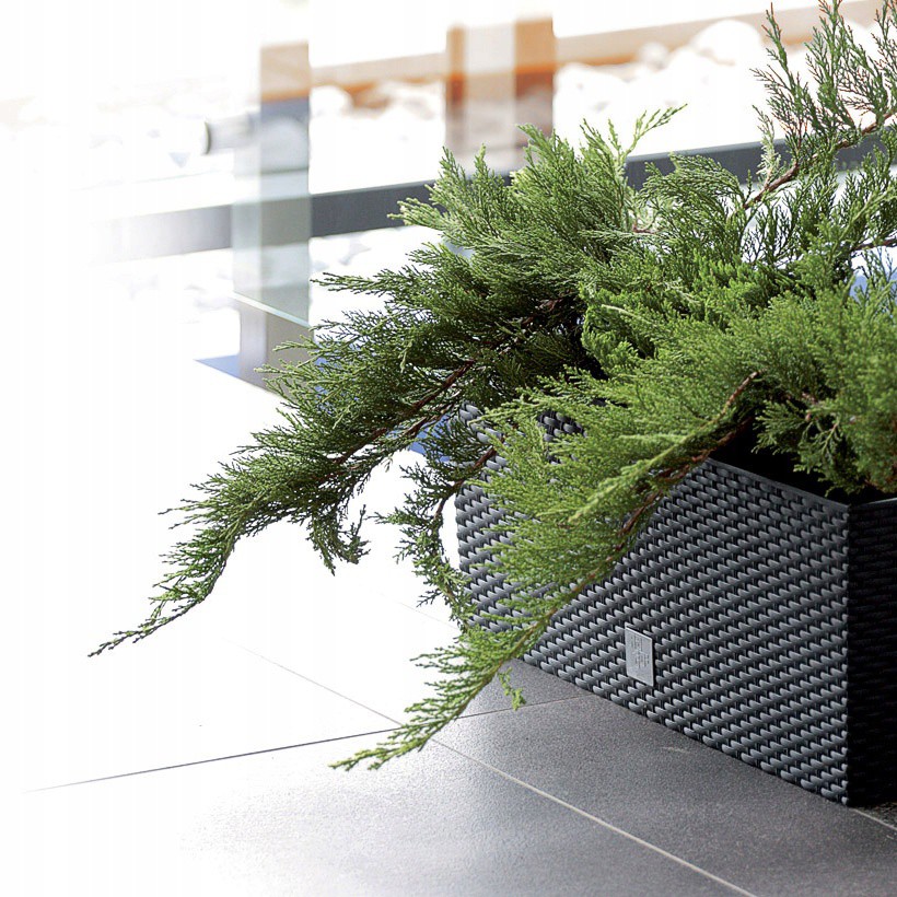 pot de fleurs 50x18x19cm 17L balcon jardin megamix.sk