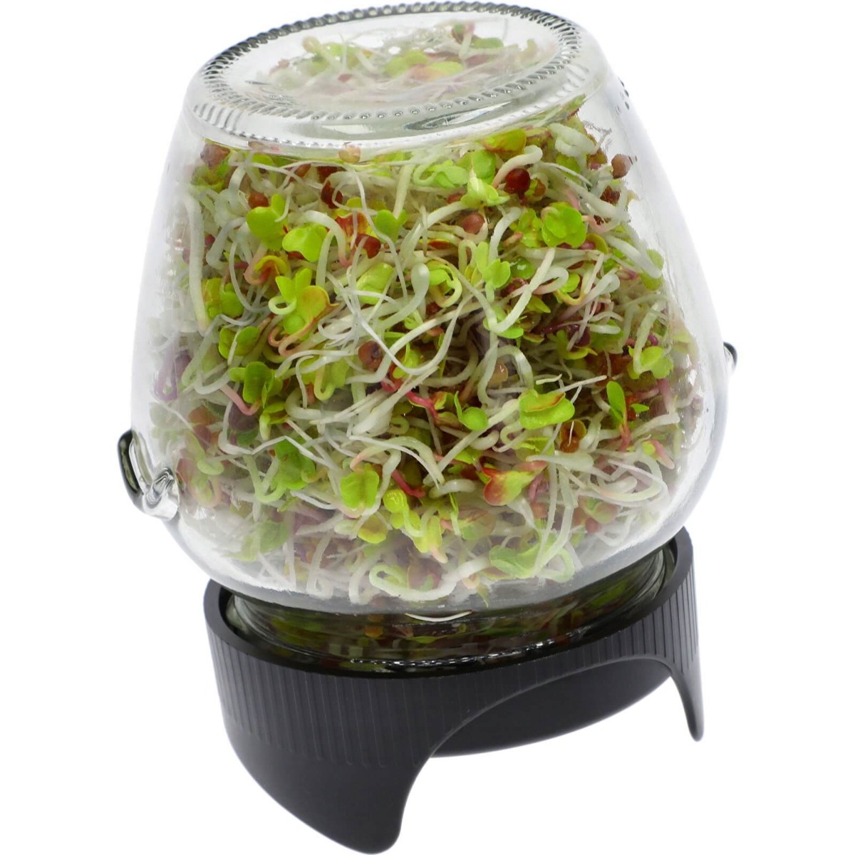 tasse germoir 2pcs megamix.sk