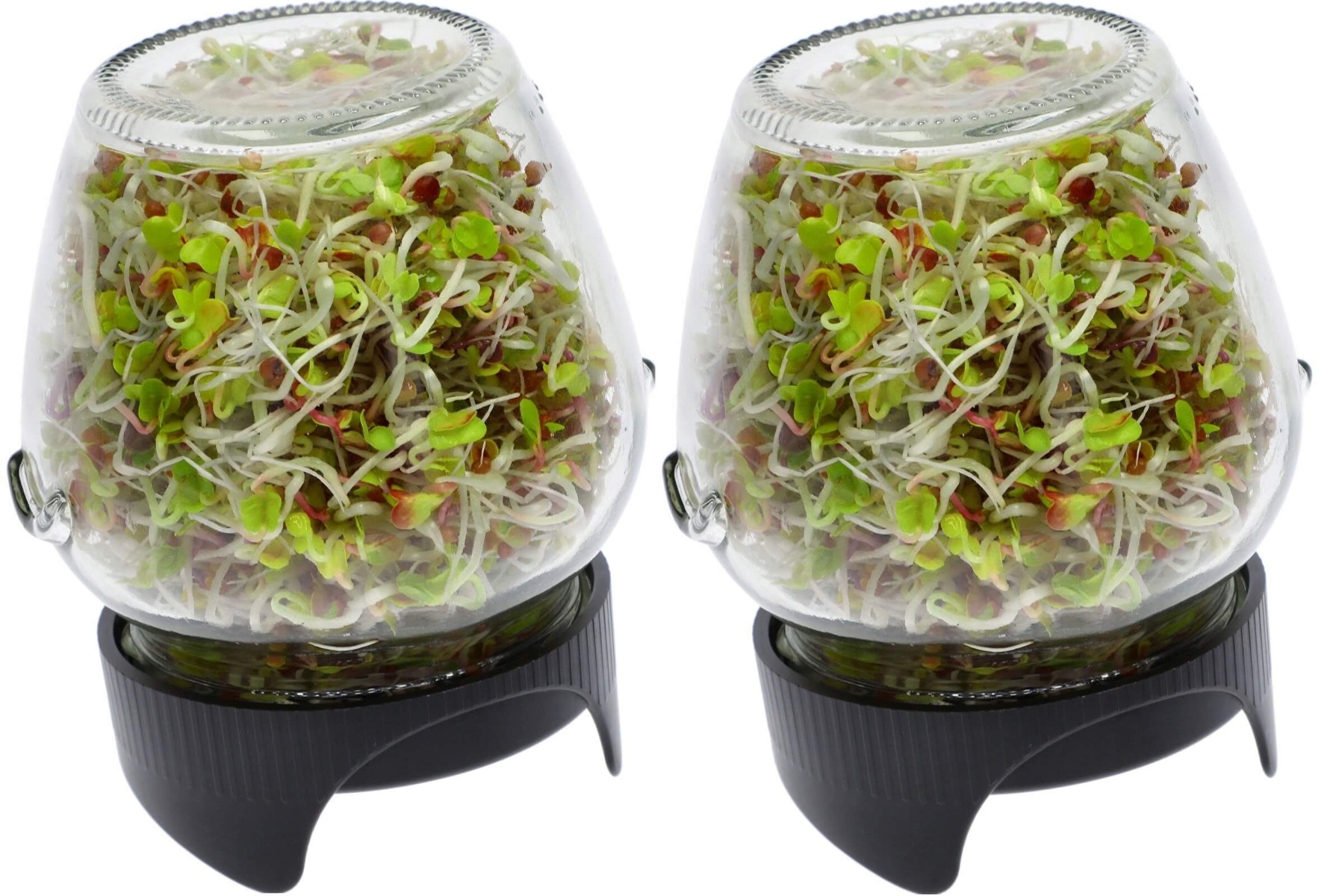 tasse germoir 2pcs megamix.sk