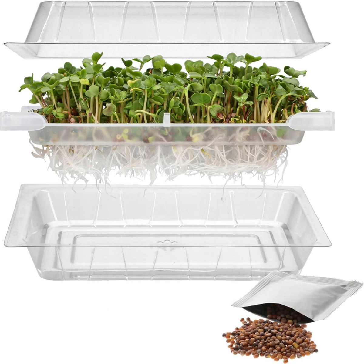 récipient germoir pour germination 18,5 x 12,5 cm megamix.sk