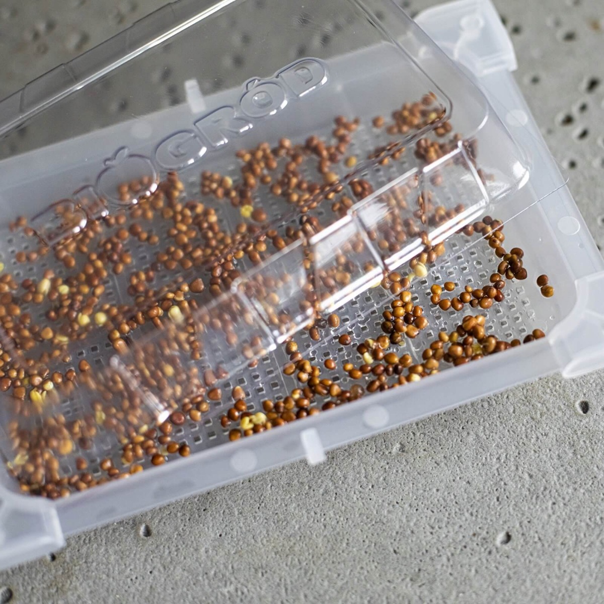 récipient germoir pour germination 18,5 x 12,5 cm megamix.sk