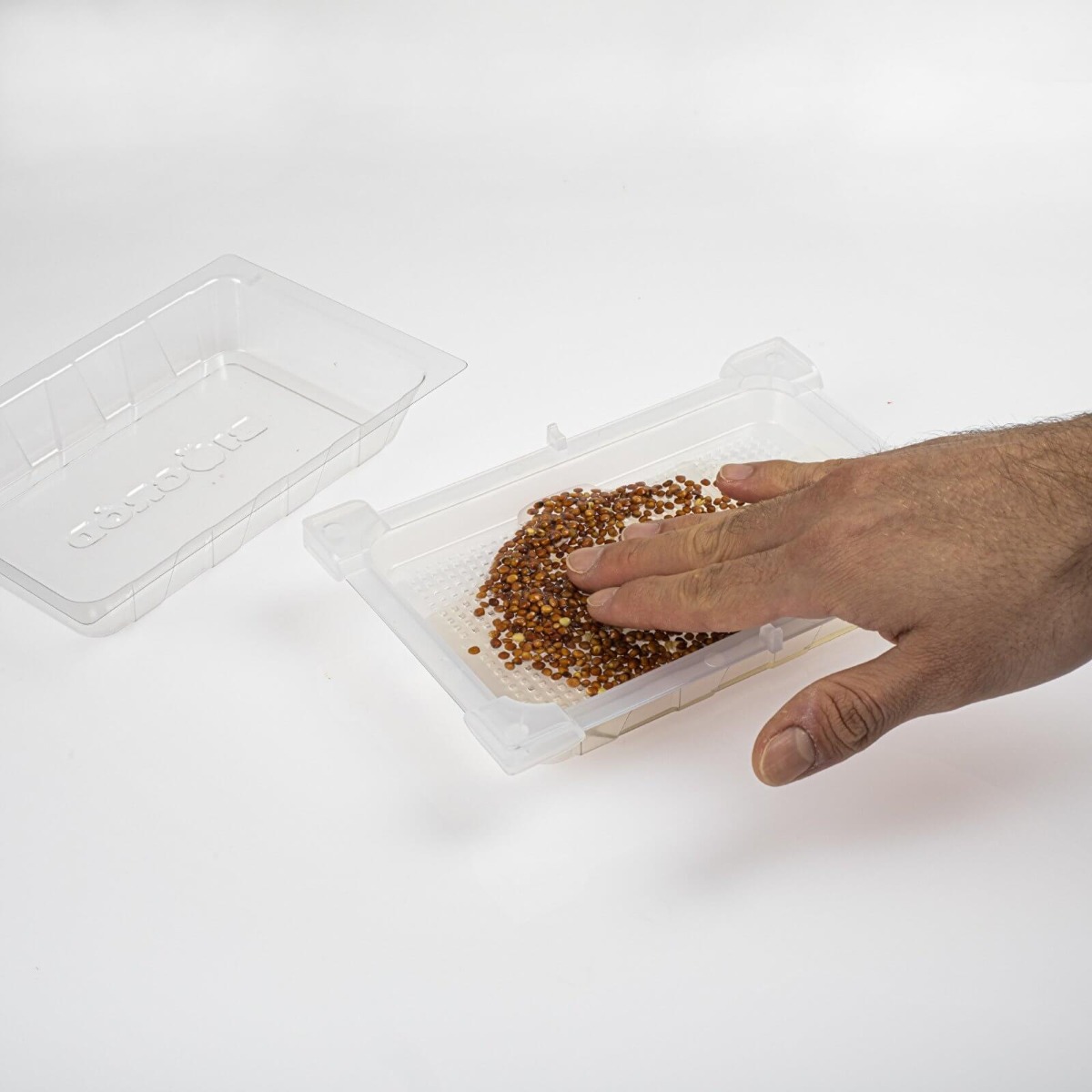 récipient germoir pour germination 18,5 x 12,5 cm megamix.sk
