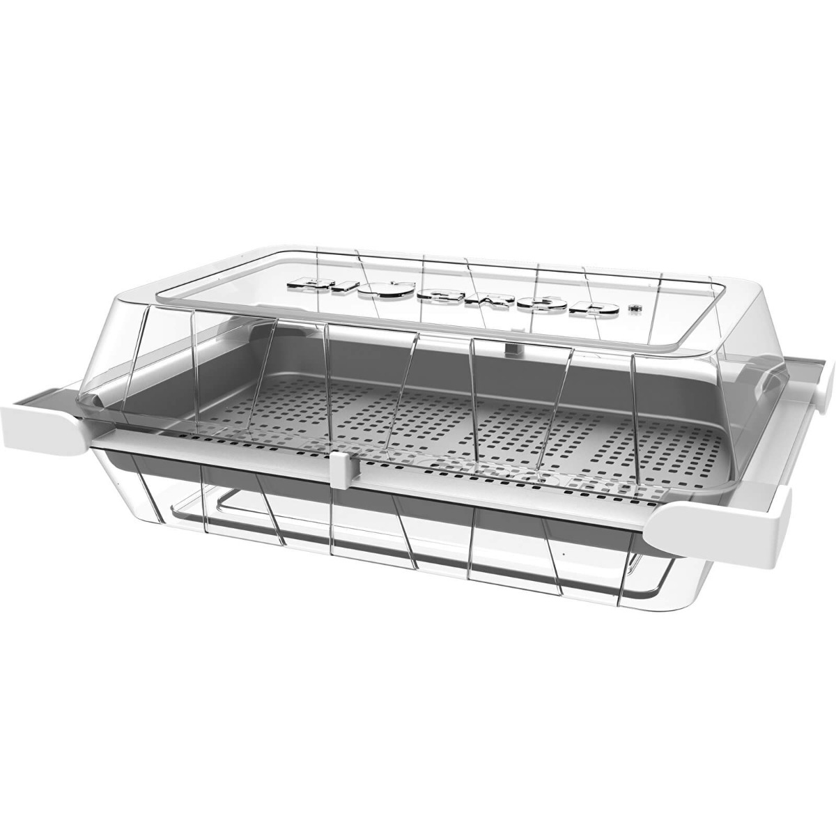 récipient germoir pour germination 18,5 x 12,5 cm megamix.sk