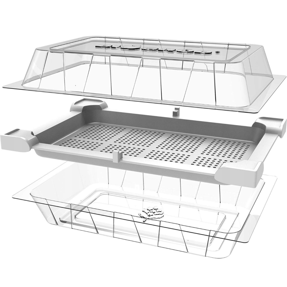 récipient germoir pour germination 18,5 x 12,5 cm megamix.sk