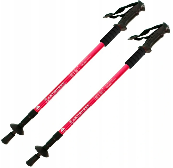 Bâtons de trekking Nordic Walking