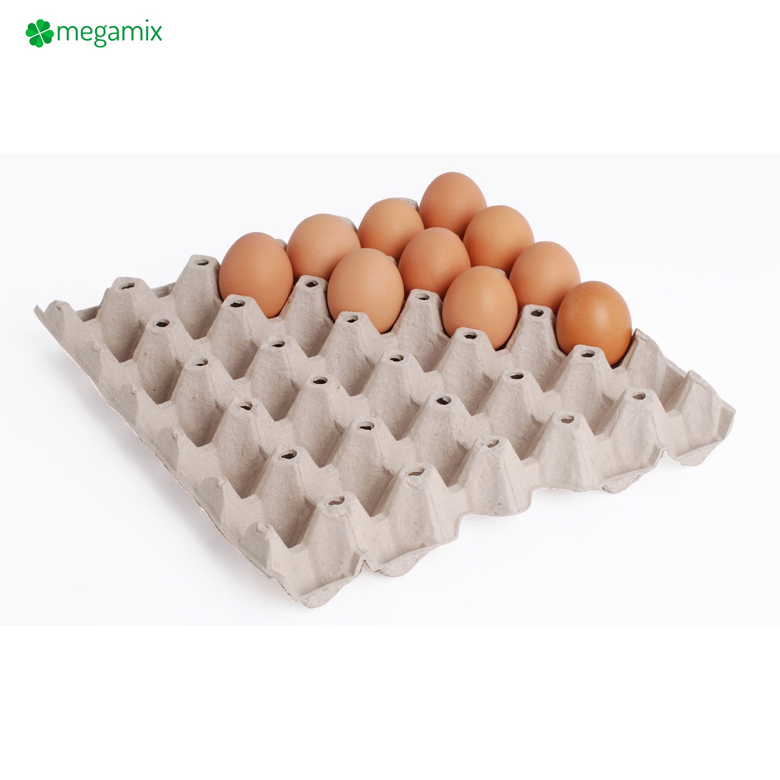 emballages pour œufs intercalaires pour 30 pièces set 100 pièces 297x295x47mm gris megamix.sk