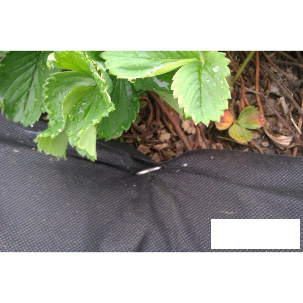 piquets en acier pour agrotextile 100pcs 15cm 3mm megamix.sk
