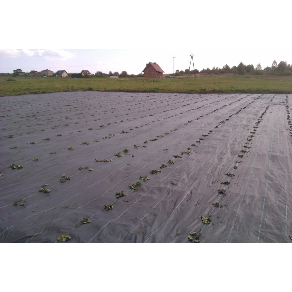 piquets en acier pour agrotextile 100pcs 15cm 3mm megamix.sk