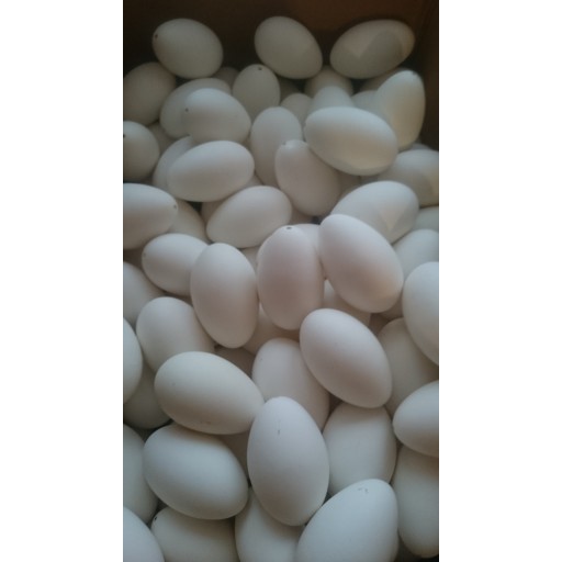 coquilles d'œufs d'oie soufflées pour la décoration œufs de Pâques kraslice megamix.sk