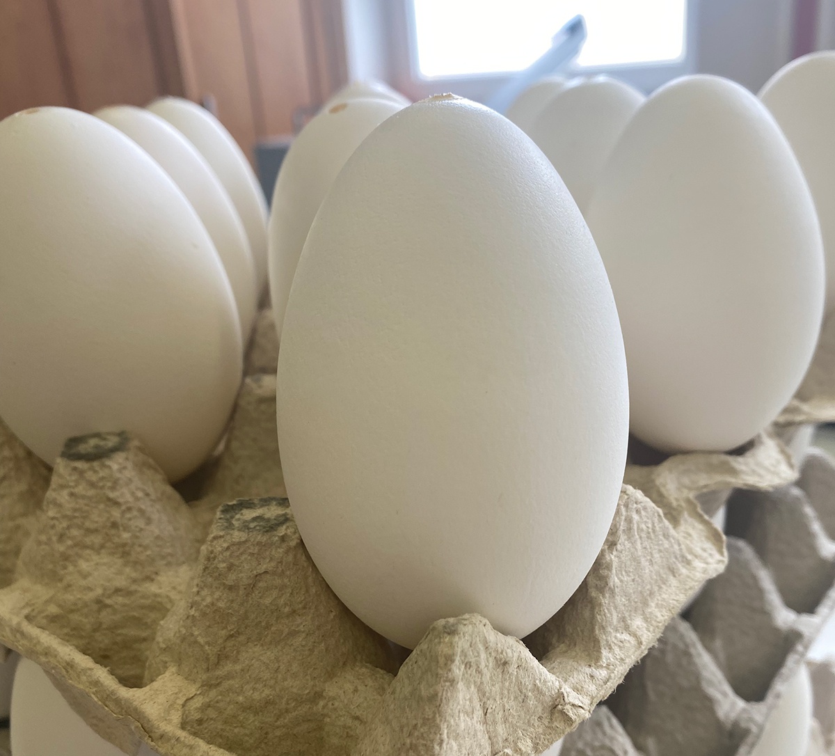 coquilles d'œufs d'oie soufflées pour la décoration œufs de Pâques kraslice megamix.sk