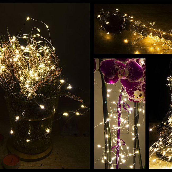 fil de lumière 50 pcs LED blanc chaud 5m sur piles AA megamix.sk